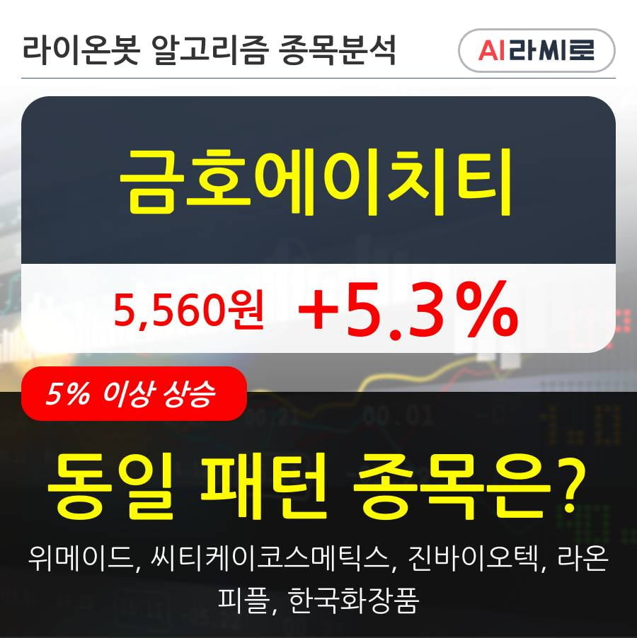 금호에이치티