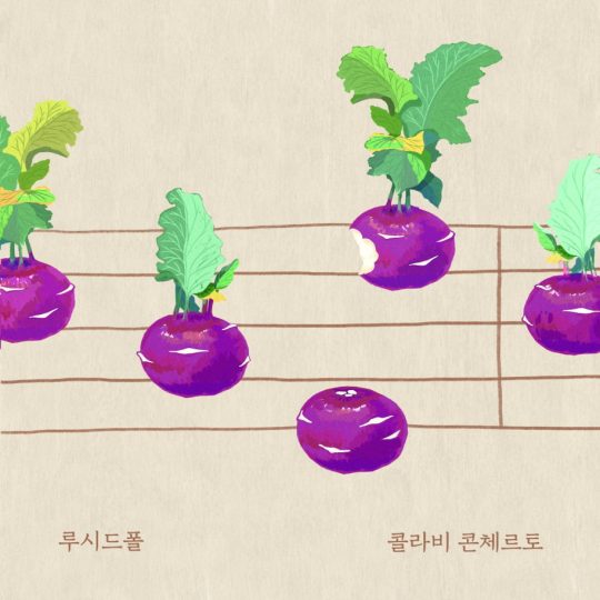 가수 루시드폴의 ‘콜라비 콘체르토’의 재킷. / 제공=안테나