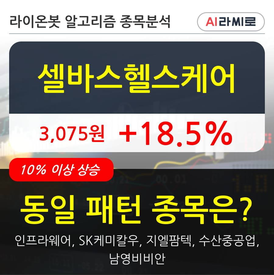 셀바스헬스케어