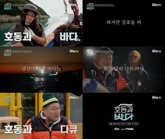 호동과 바다 (사진=Olive)