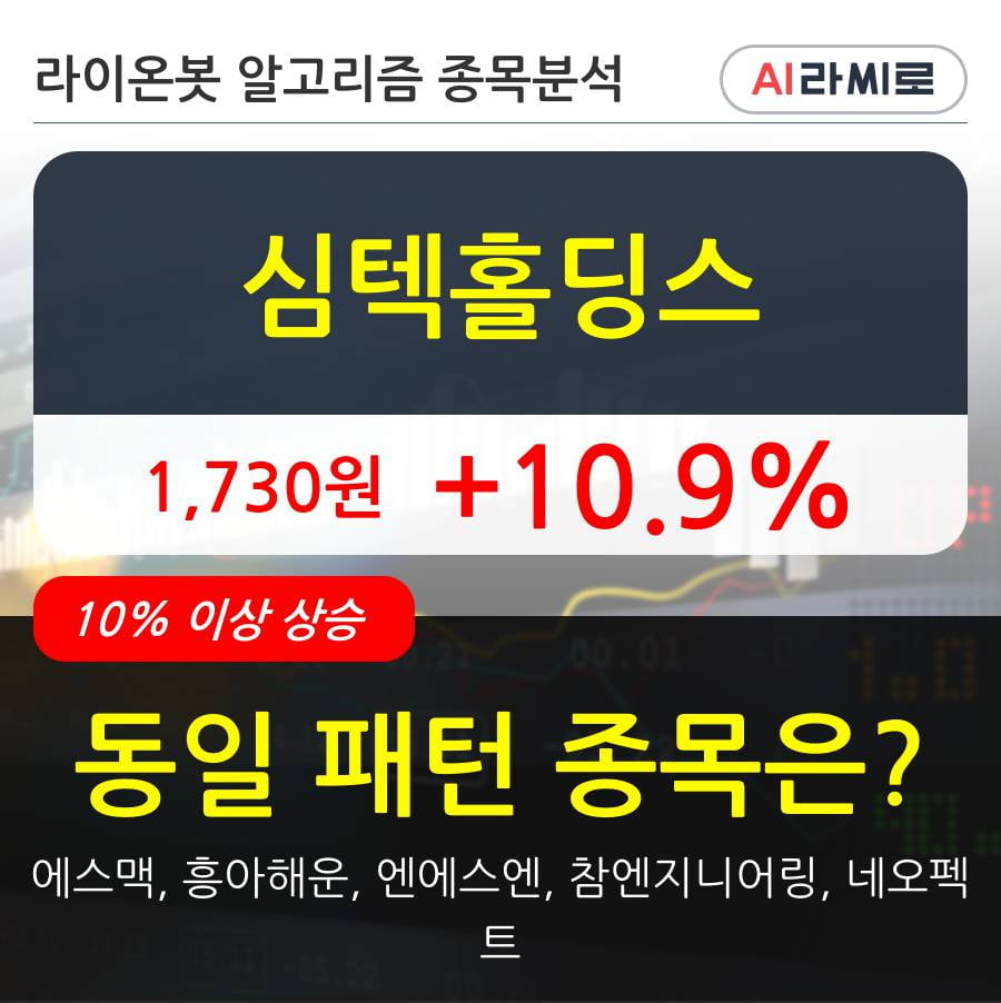 심텍홀딩스