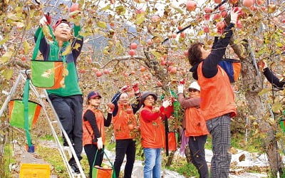 현대중공업, 김장담그기·농촌봉사…지역사회 밀착 지원