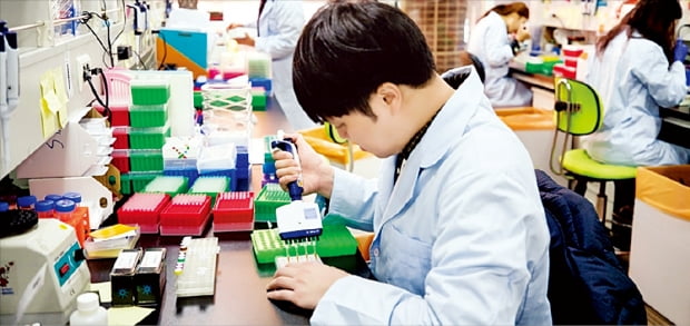 마크로젠 연구원이 서울 가산동 본사 연구소에서 유전체 분석 연구를 하고 있다.  마크로젠  제공 