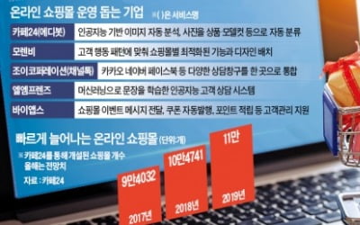 초보 온라인몰 金사장 돕는 '도우미'가 뜬다