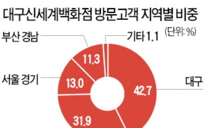 개장 3년 대구신세계백화점, 타지역 고객 방문은 24% 그쳐