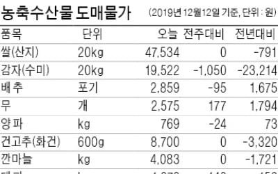 감자·오이값 하락세