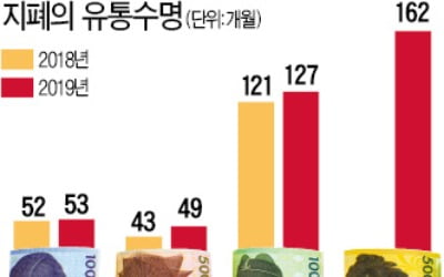  5만원권 지폐 '유통수명' 13년6개월…1000원권은 53개월