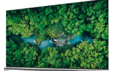 LG전자 2020년형 8K TV…美 CTA '8K UHD' 인증