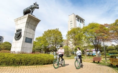 건국대, 예체능계열 일부학과 '나군'으로 변경...공대, 학부단위 모집비중 확대