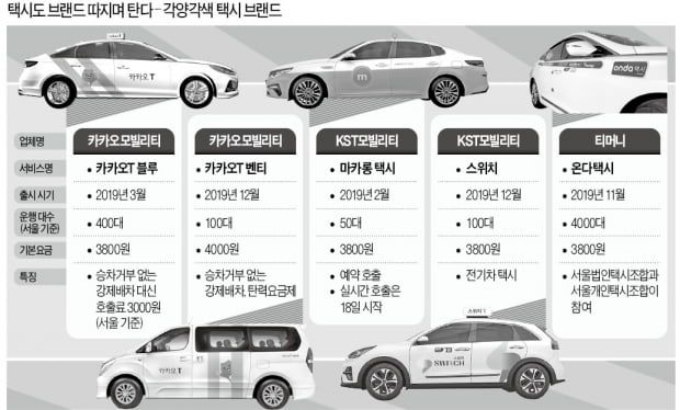 '골라 타는 재미' 브랜드 택시…서비스는 왜 붕어빵 같지?