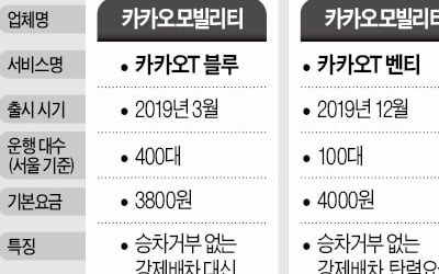 '골라 타는 재미' 브랜드 택시…서비스는 왜 붕어빵 같지?