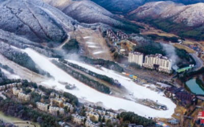 해돋이 명소·스키 마니아 성지…용평리조트, 브랜드평판 1위