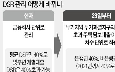 DSR 개인별 적용…고가주택 대출 더 조인다