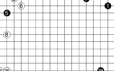 [제24기 하림배 프로여자국수전] 큰 모양 포석