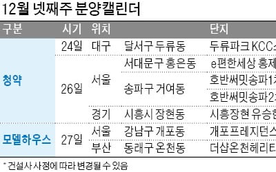 더 달아오르는 분양시장…북위례 이어 개포 분양 나서