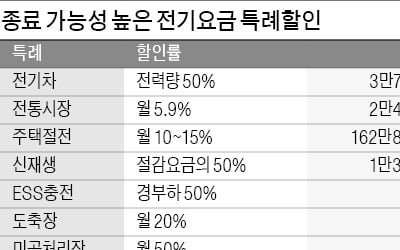 15년짜리 '전력수급계획' 해 넘긴다…특례할인은 폐지 가닥