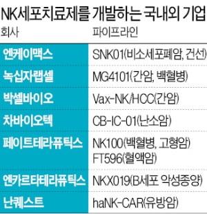 면역항암제 부작용 줄인 NK세포치료제 뜬다