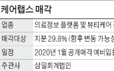 [마켓인사이트] '헬스케어 플랫폼' 케어랩스 공개 매각 본격화