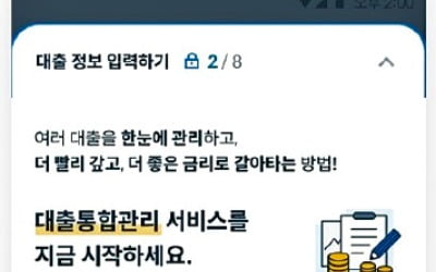 대출 3건 이상 받은 채무자…이자·상환방식 한눈에 조회