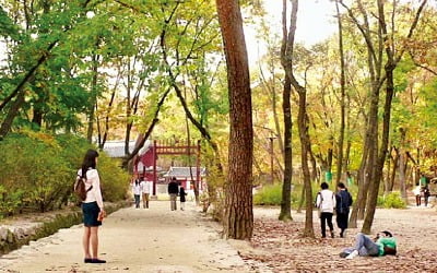 세계유산부터 골목길까지…다양한 색으로 빛나는 '시네마 천국' 서울