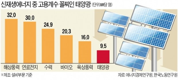 국책硏 2년 전 "태양광, 고용효과 없다" 보고에도…정부 '재생에너지' 밀어붙였다