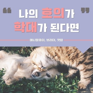 [빗나간 애착, '애니멀 호딩'①] 애니멀 호더·브리더·캣맘…동물을 진정으로 위하는 마음일까?