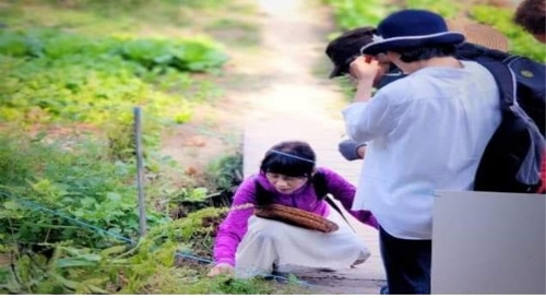 제1호 '이달의 서울 농부'에 김사경 씨…'토종 콩 전도사'
