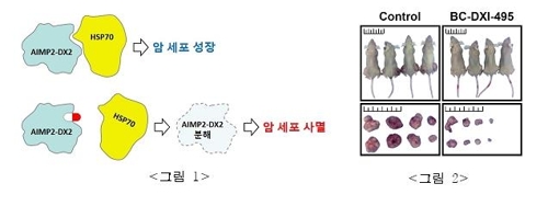 차세대융기원 연구팀, 새로운 방식 폐암 억제제 개발
