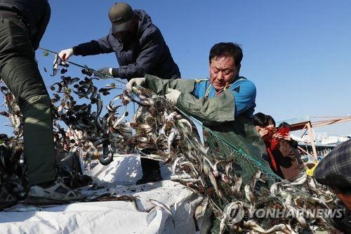 10월 연근해 어업생산량 30% '뚝'…태풍·수온변화 영향