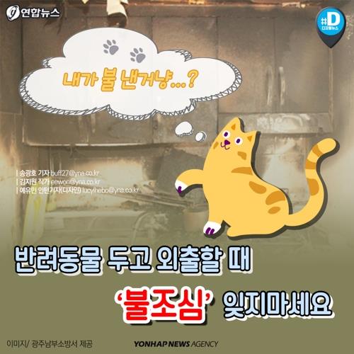 고양이가 인덕션 스위치 눌러 화재…서울서만 올해 31건