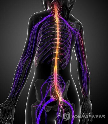 美 FDA, 다발성 경화증 치료제 길레니아 최초 복제약 승인