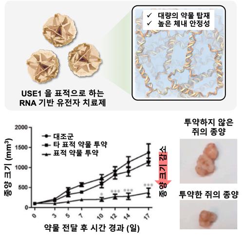 "폐암 일으키는 유전자 분해" RNA 나노입자 개발