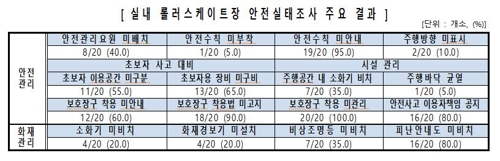 실내롤러스케이트장 안전관리 미흡…이용자 70% 안전모 착용안해