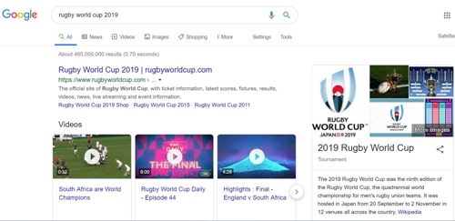 英 구글서 올해 가장 많이 사용된 검색어는 '럭비 월드컵'
