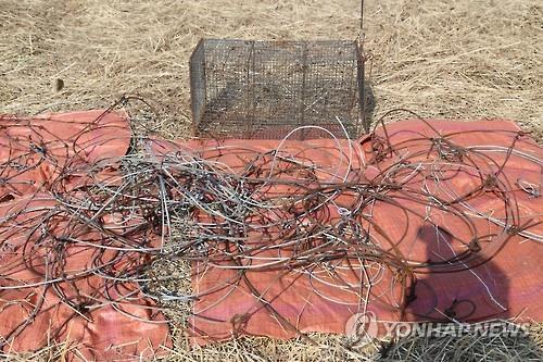 영산강환경청, 반달곰 서식지 지리산서 사냥도구 수거