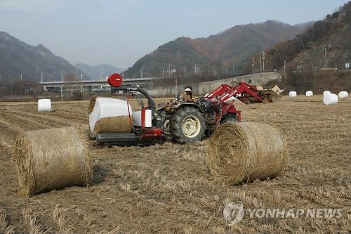 경북 농가인구 10년 새 21% 감소…고령화 심화