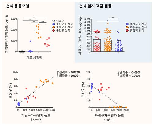 난치성 천식 감별하는 바이오마커 찾았다