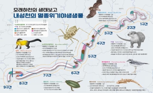 경북 내성천에 수달 등 야생생물 1천418종 서식 확인