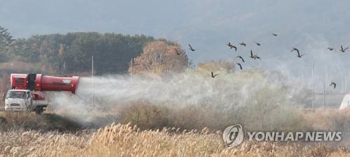 전남 고위험 철새 도래지 축산차량 출입 통제