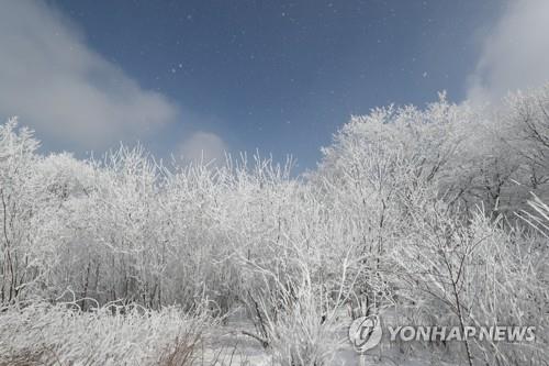 강원 횡성 6㎝ 적설…원주공항 항공편 결항