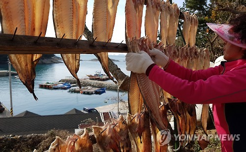 "추워야 제맛" 통영 물메기, 이상 고온으로 어획량 급감