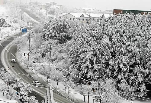 '겨울 도시' 태백 3년째 눈 없는 12월 "속상해요"