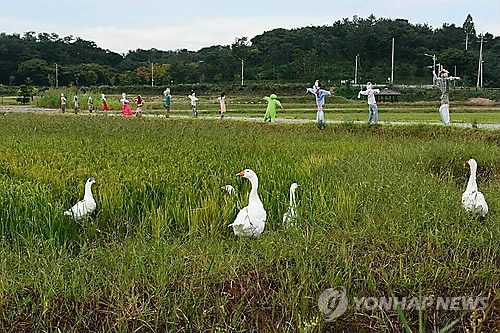 친환경농업직불금 내일부터 지급…총 224억원 규모