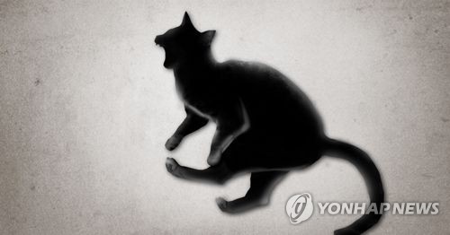 말뚝 위에 널브러진 '고양이 사체'…경찰 수사