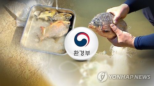 '생태계 교란' 외래종 세관서 차단한다…정부 협업검사체계 구축