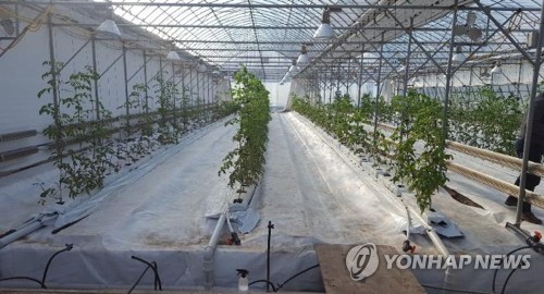 정부, 스마트팜 수출 지원…해외 2개국에 시범온실 조성