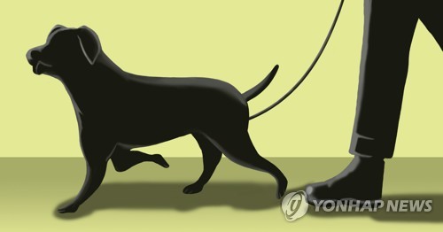 검찰, 망원동 반려견 '토순이' 살해한 20대 남성 구속기소