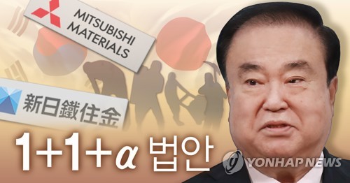 문의장, '1+1+α' 법안 성안…"위자료 지급시 재판청구권 포기"