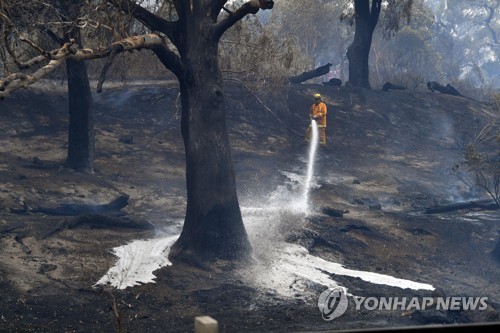 '산불 확산' 호주 남동부서 4천여명 해안가 고립