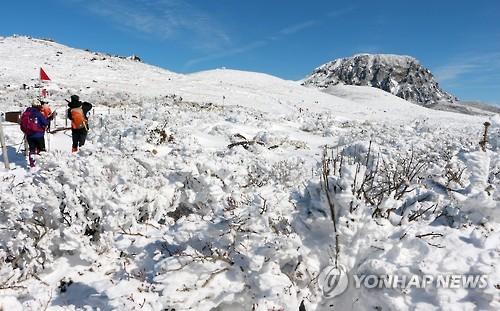 [#꿀잼여행] 제주권: 그 순수한 아름다움…순백의 세상 겨울왕국 된 한라산